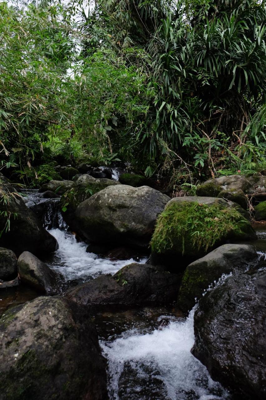 Recidencia Del Hamor Sorsogon Bagian luar foto