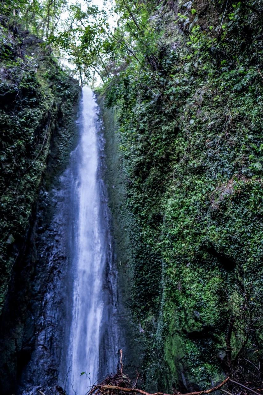 Recidencia Del Hamor Sorsogon Bagian luar foto